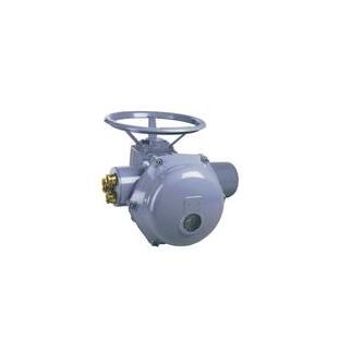 德國RTK電動(dòng)執行機構